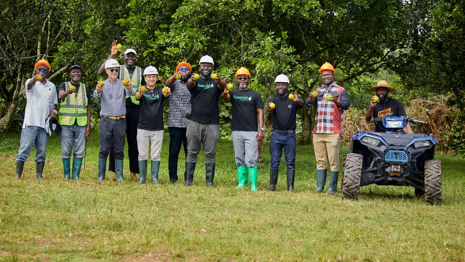 A line of growers and visitors hold up oranges in the orchard, beside a quad bike.
