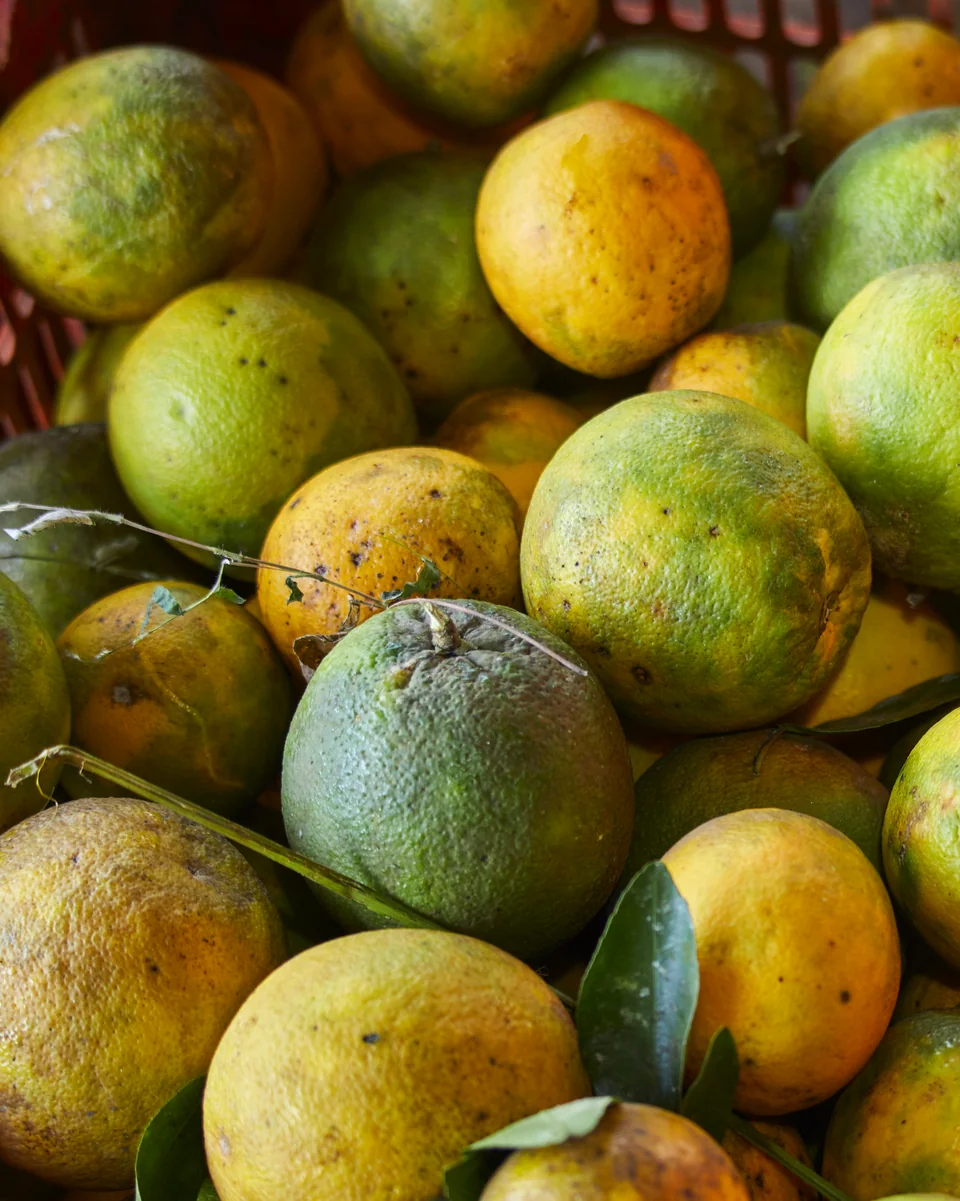 A crate of green and gold oranges seen from above.