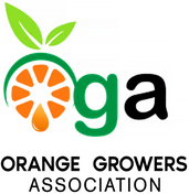 Orange Growers Association