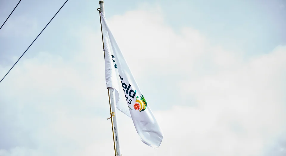 The Eastfield Farms flag against the sky.