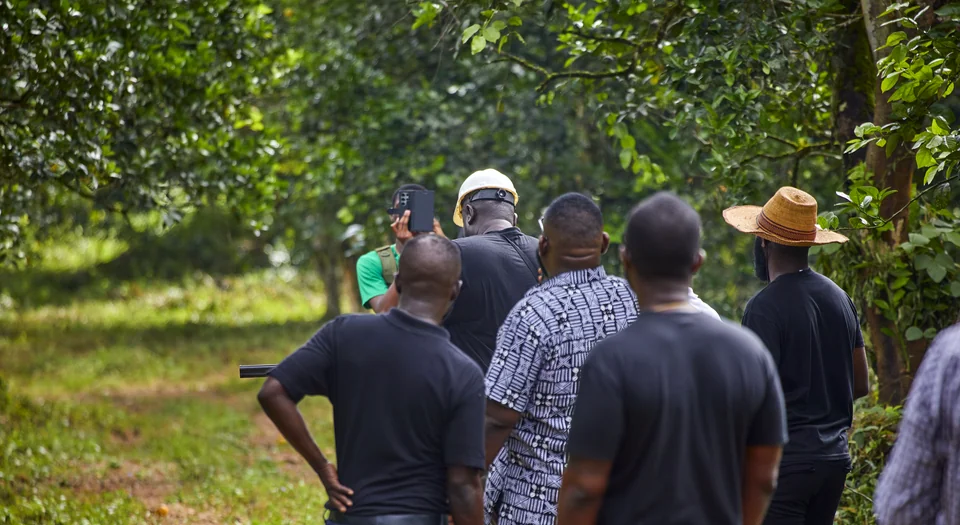 Visitors stand with their backs to the camera, looking across the orchard.