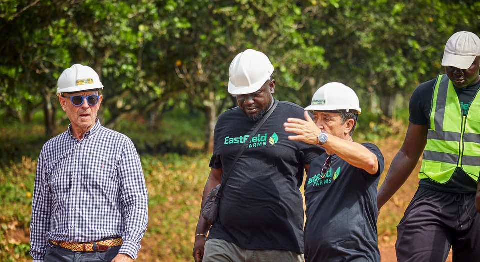 Visitors in hard hats talk as they walk through the orchard.