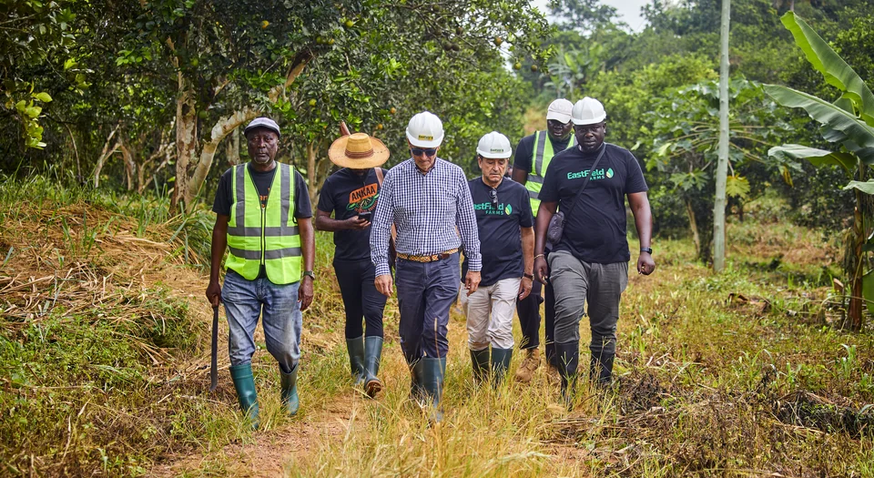 Visitors in hard hats walk along a farm track.
