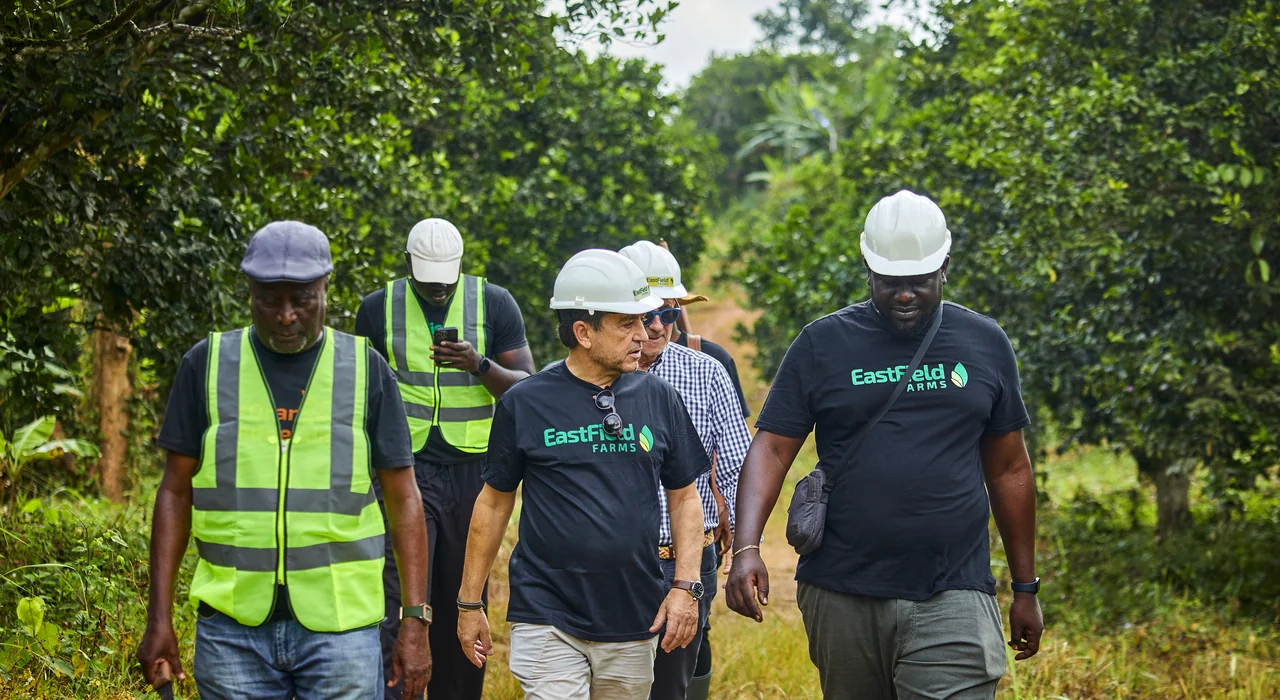 Visitors in hard hats and safety vests walk through the orchard.