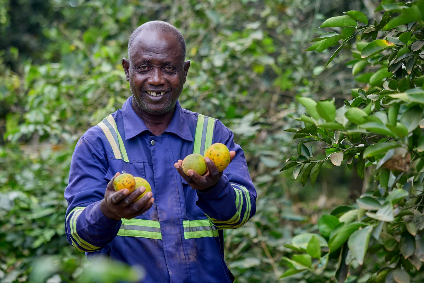 A smiling grower in overalls holds up two oranges.