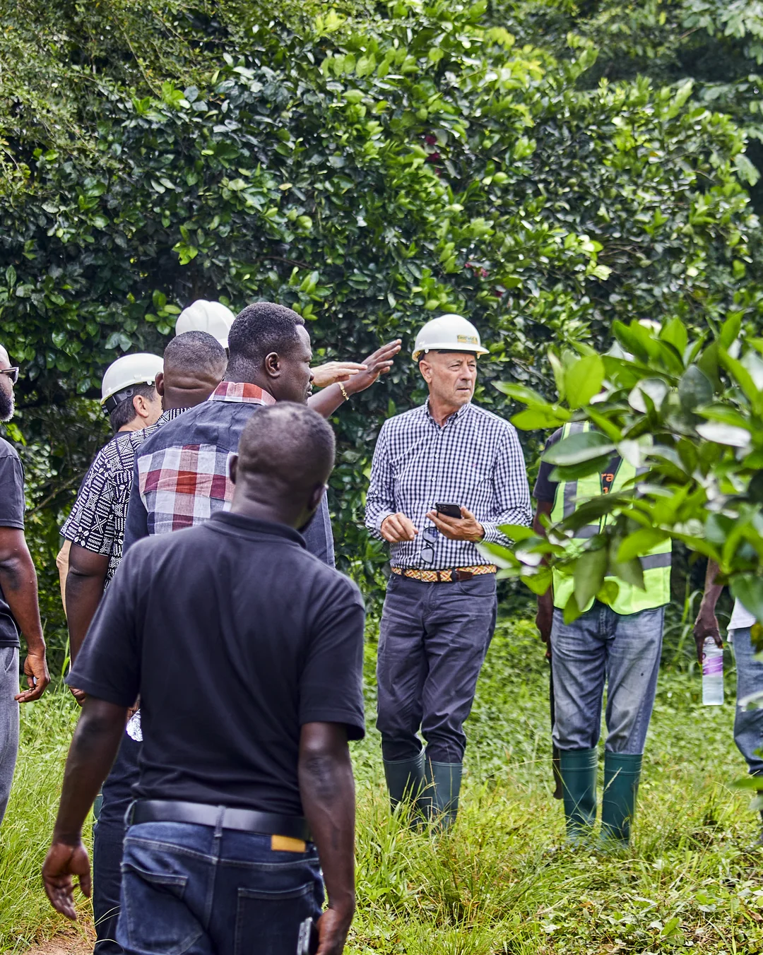 Visitors walk into the orchard.